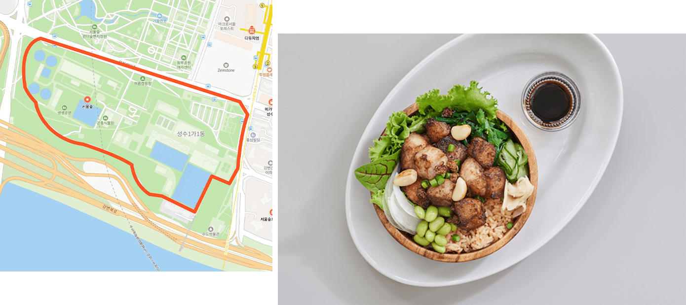 서울숲 병아리러너코스