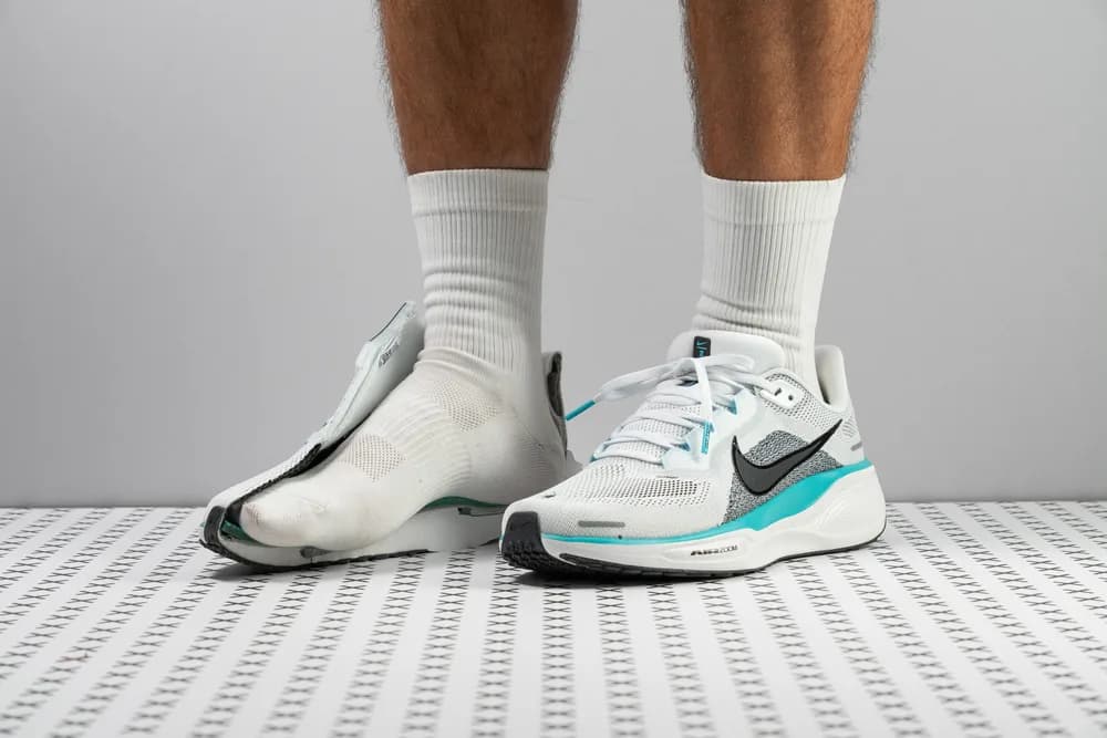 Pegasus 41